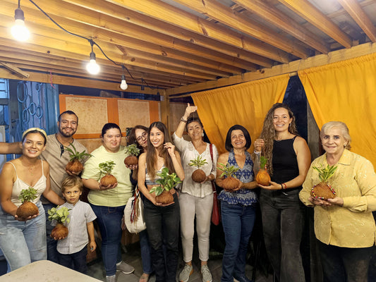 Tu Primera Kokedama con Fibra de Coco: Un Arte Milenario en Casa ✨