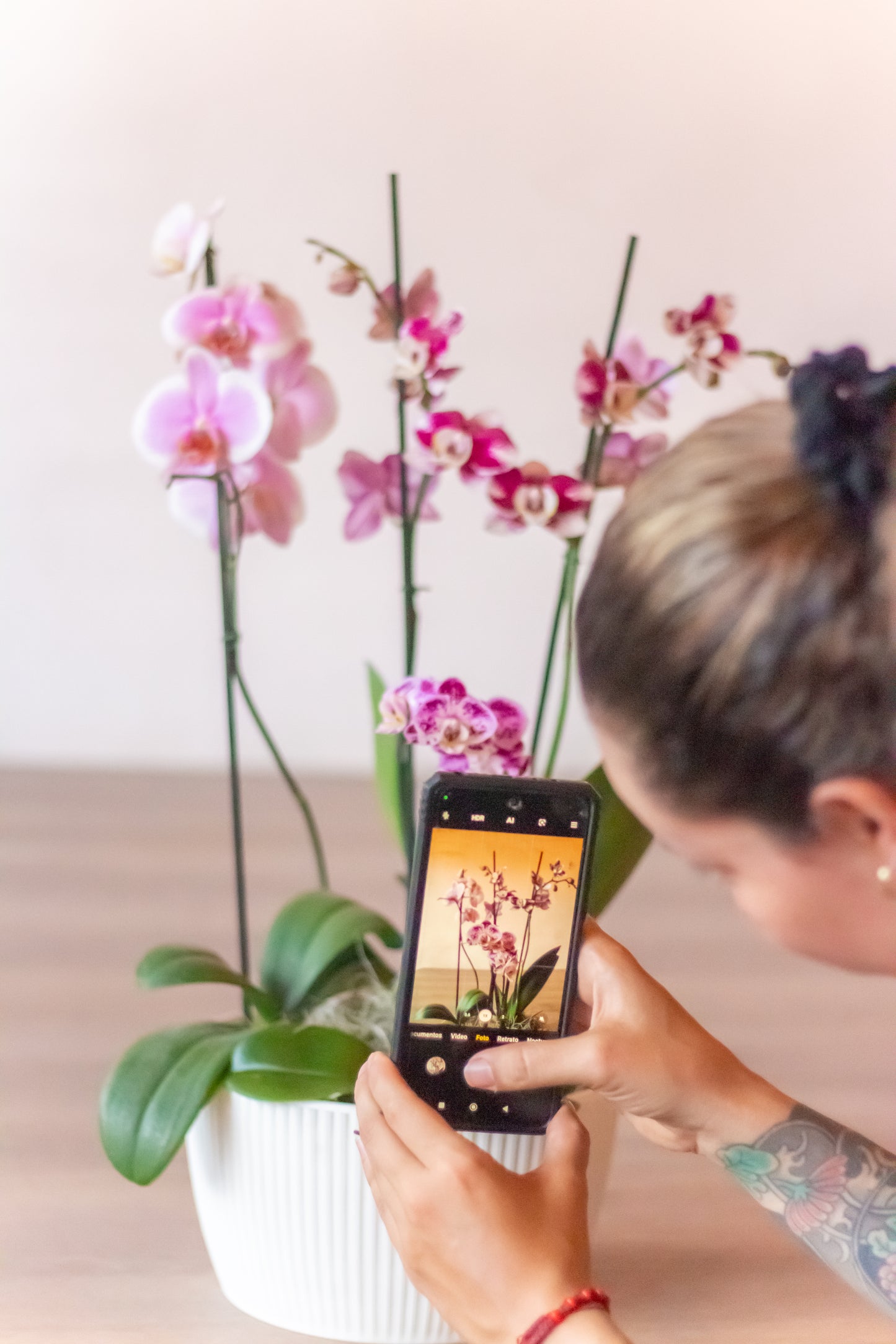 Arreglo de Orquídeas Premium (Solo en Cali)