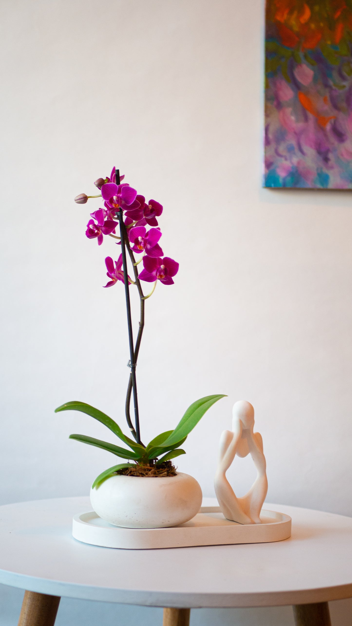 Kit Amor + Orquídea mini (Solo en Cali)