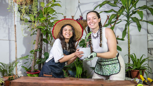 Tu experiencia de siembra comienza aquí 🌼